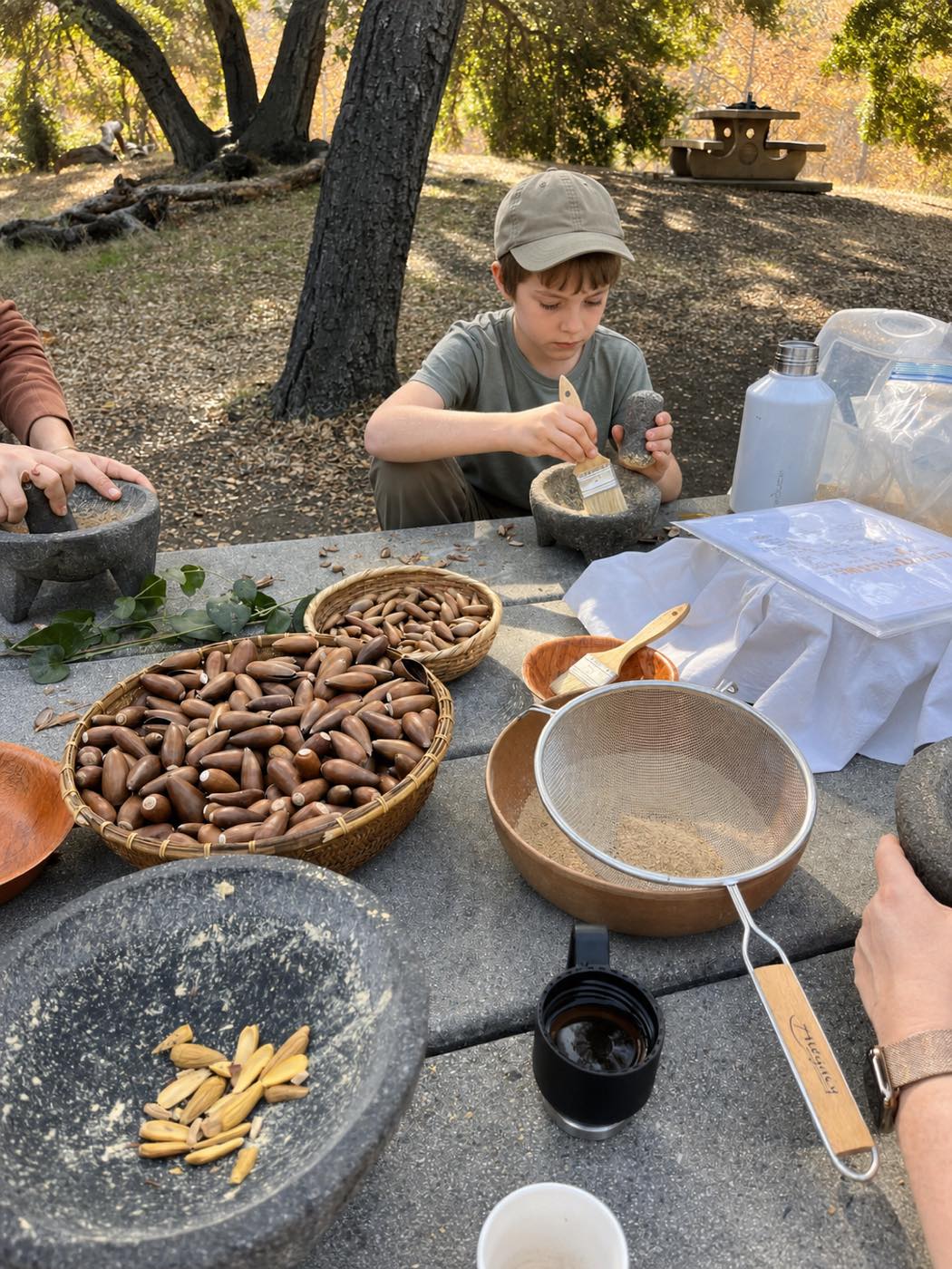 Grinding acorns into meal