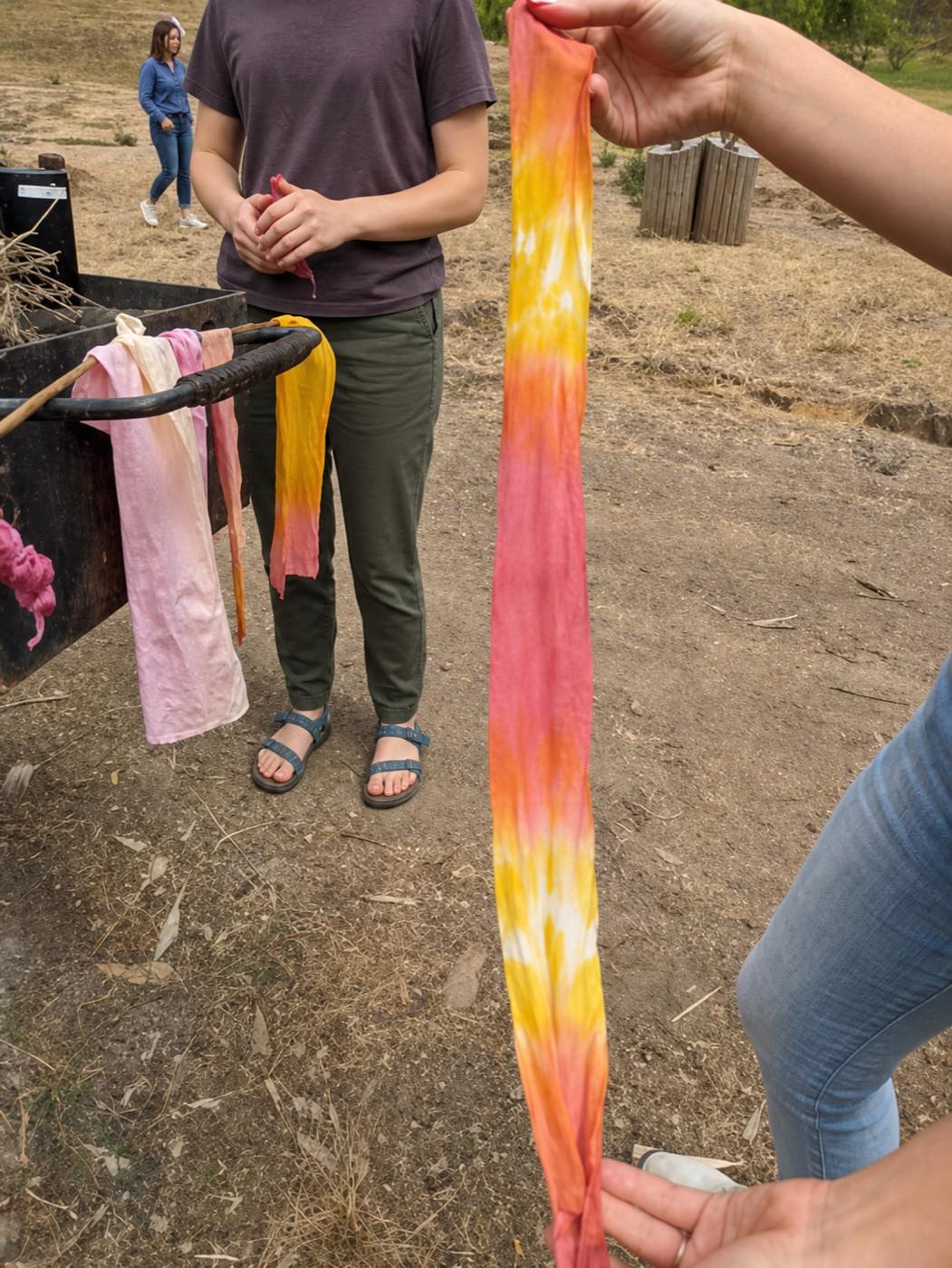 Plant-dyed cloth