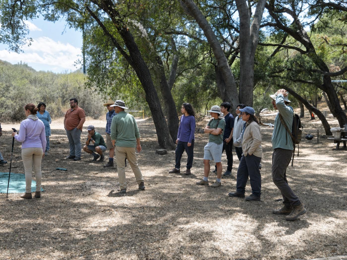 Oak woodland in the Santa Monica Mountains